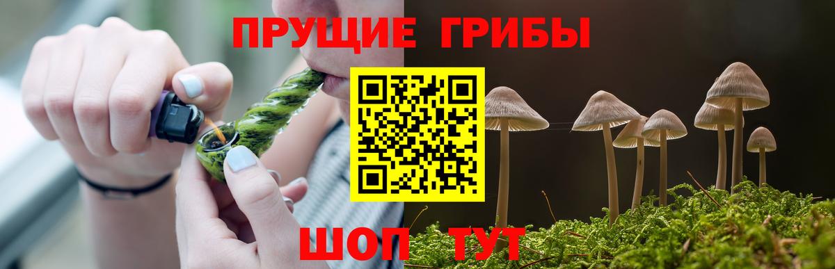 Галлюциногенные грибы Psilocybine cubensis Нерюнгри